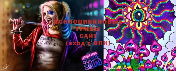 Альфа ПВП Аркадак