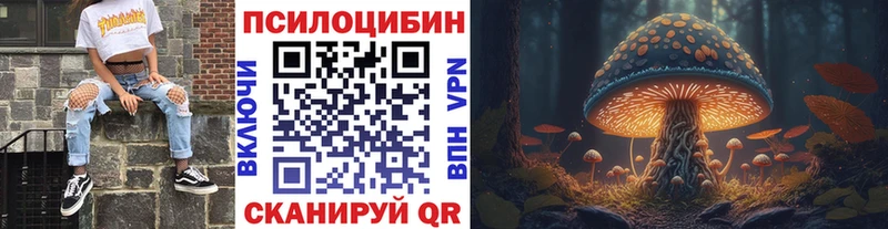 Галлюциногенные грибы прущие грибы  Сусуман 